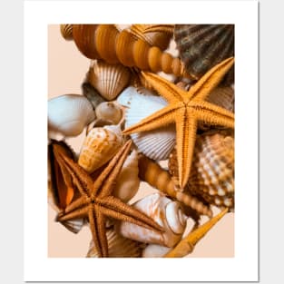 Summer Nature Beach Seashells Posters and Art